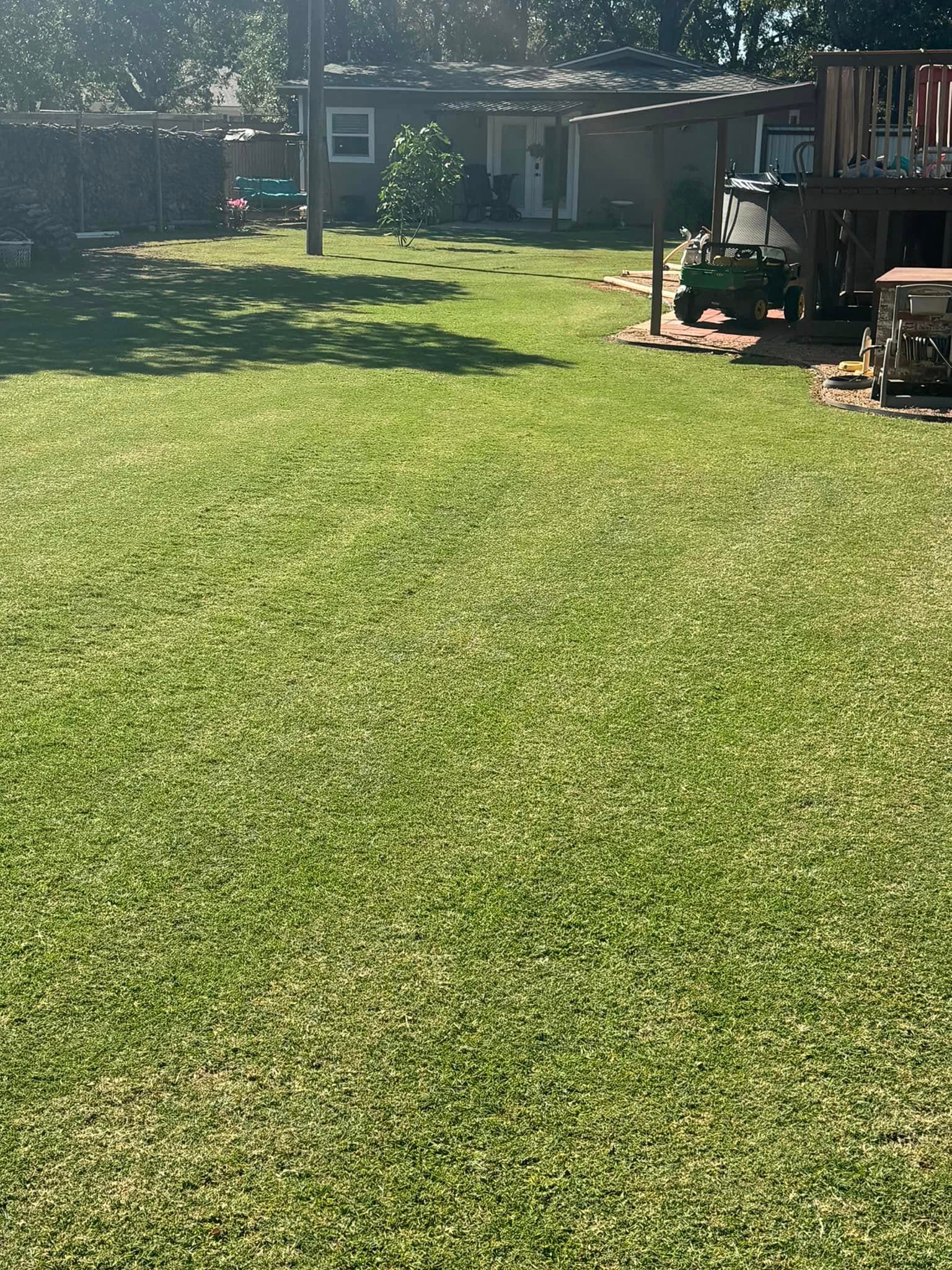 Freshly mowed backyard with an even green finish