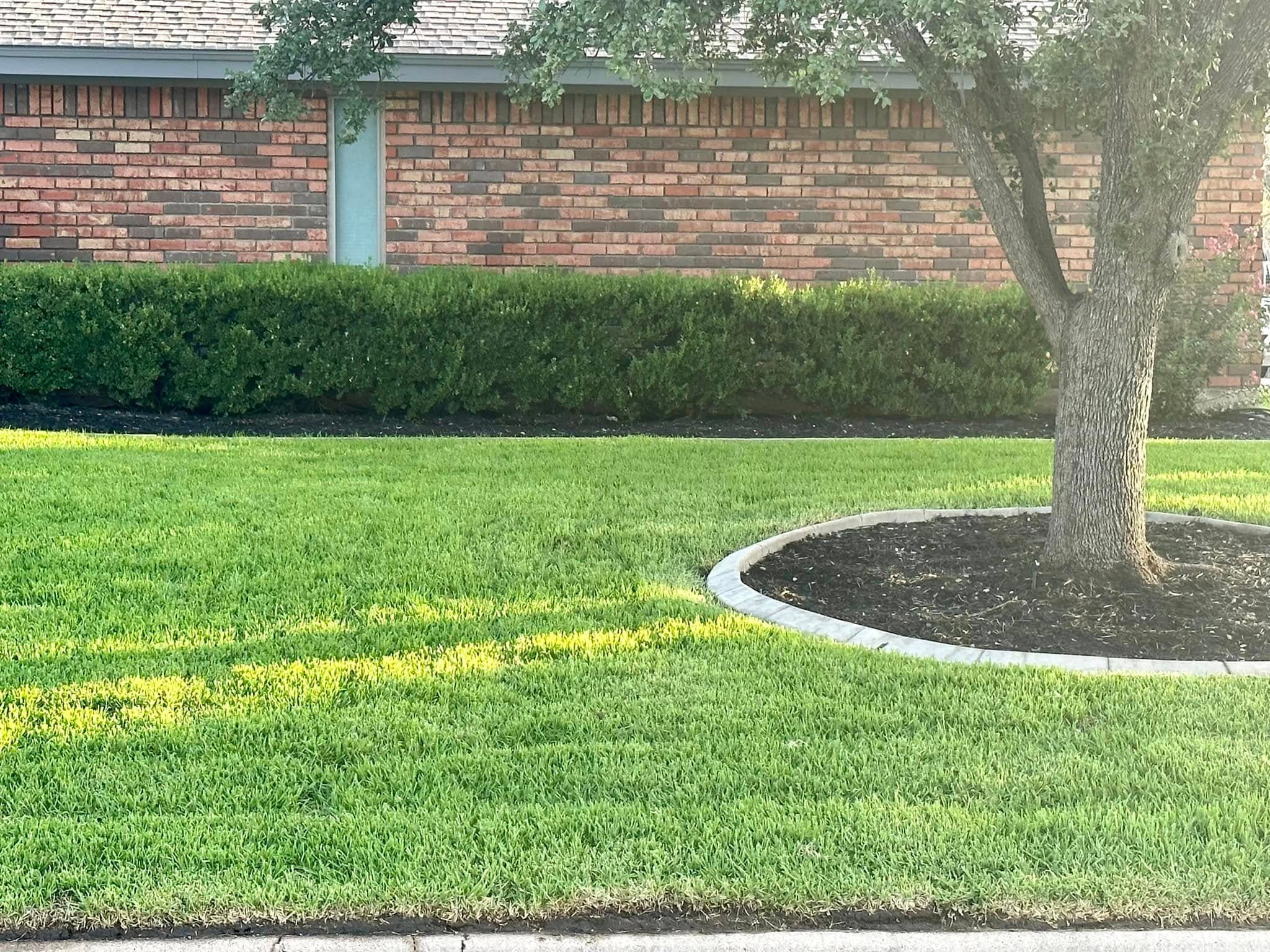 Maintained green front lawn and trimmed hedge at a local home