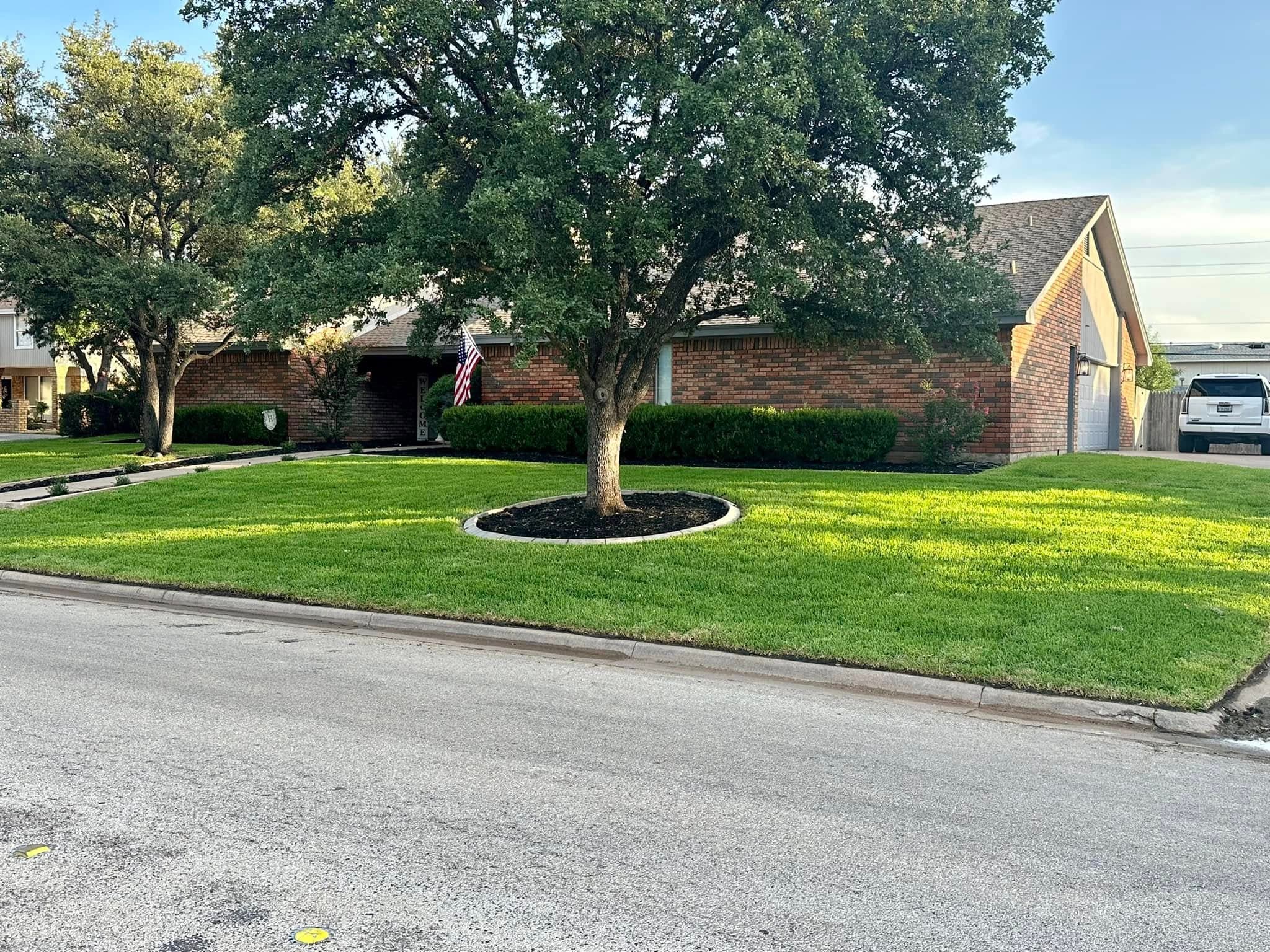 Finished green front lawn with a circular border around a mature tree