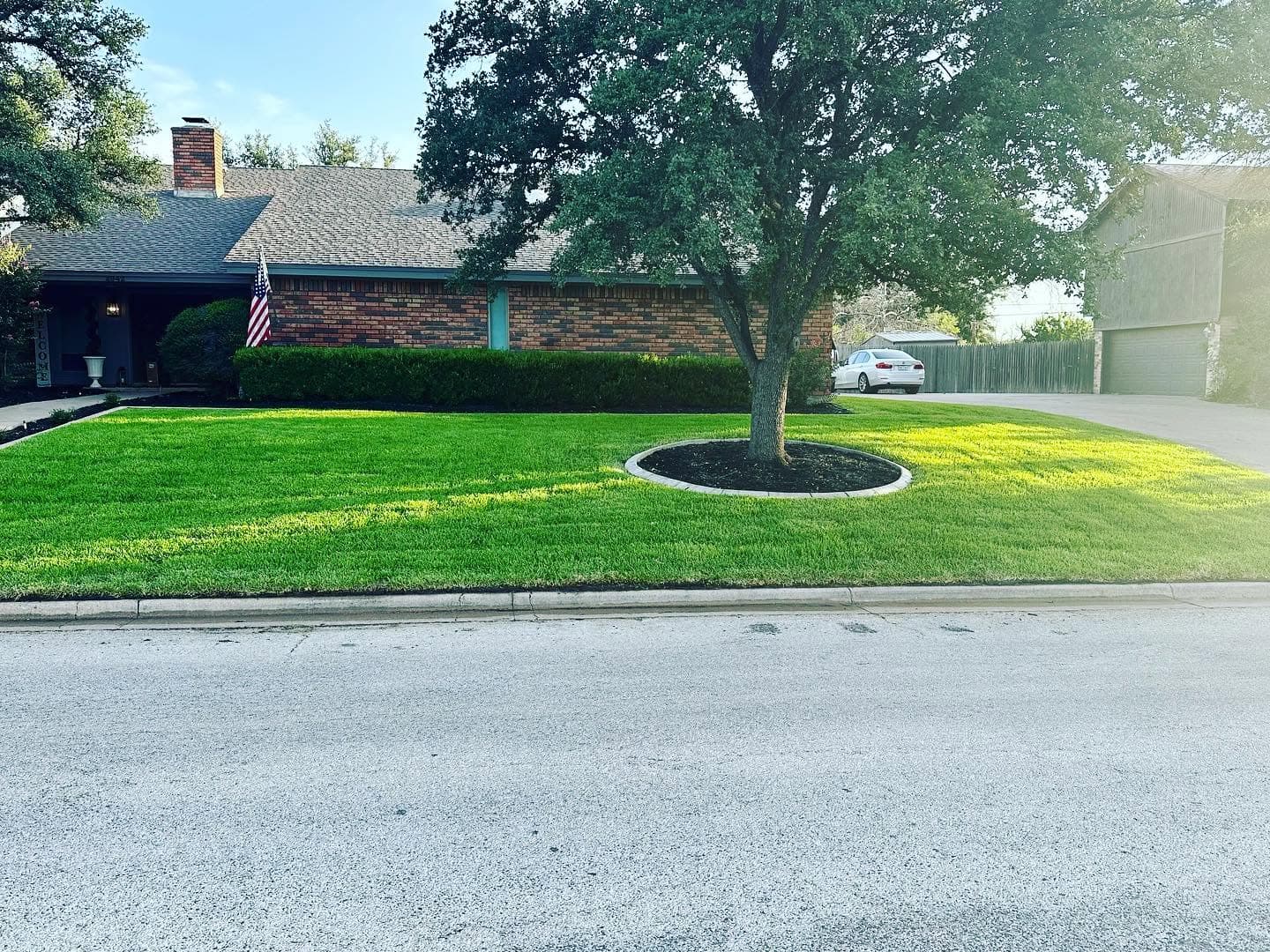 Lush green front lawn around a mature tree at a local property
