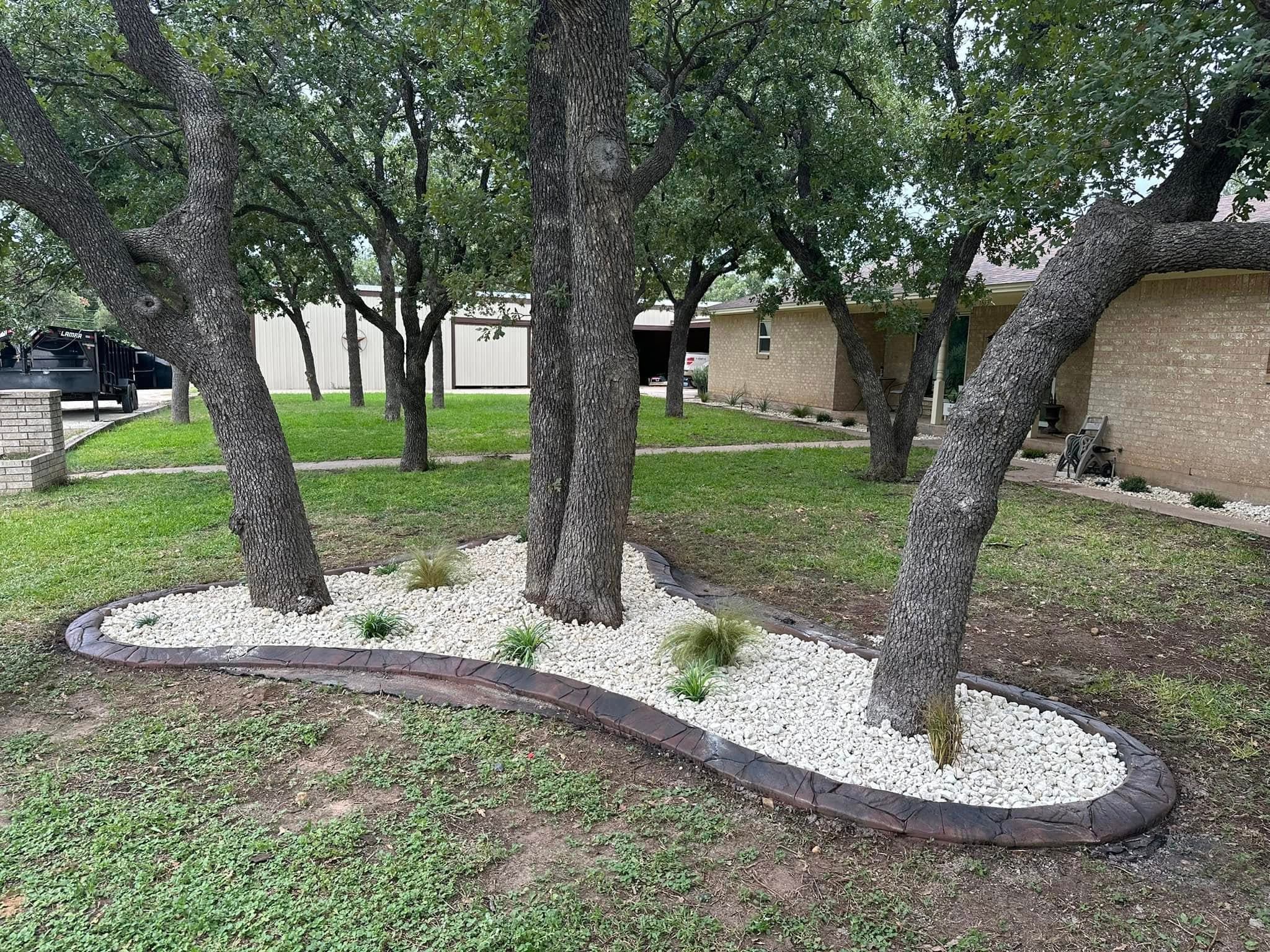Defined landscape border running beneath a line of mature trees